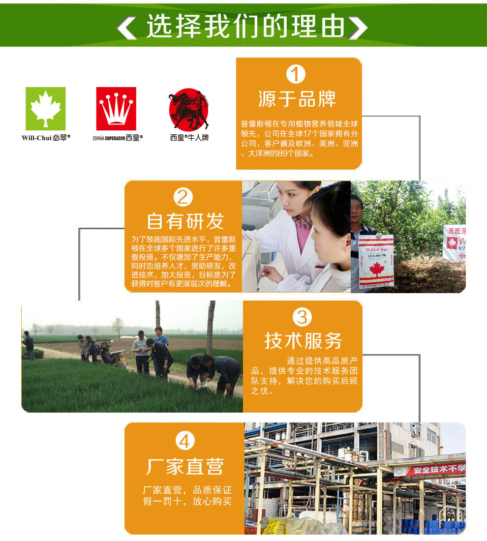 西皇®1号(图18)