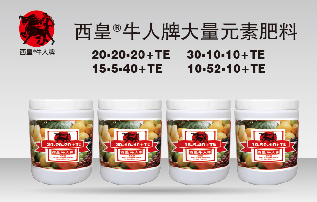 西皇牛人牌大量元素水溶肥料(1kg)(图2)