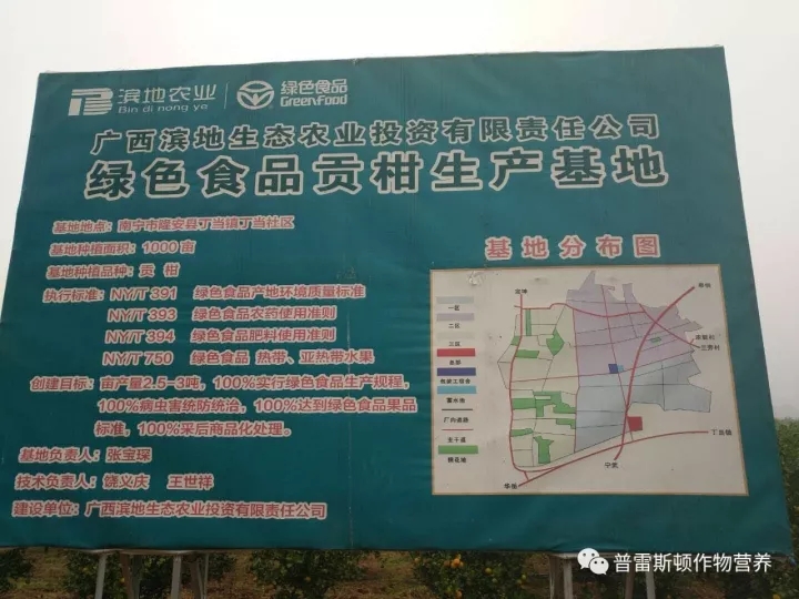岭南好柑橘——记两广市场经理张维东(图3)