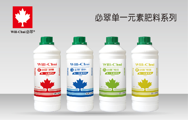 葡萄应该这样种，很容易达到“一年树，二年果，三年就丰产”！(图3)