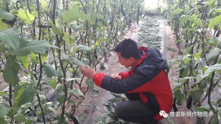 “马”不停蹄 / “马”到成功(图6)