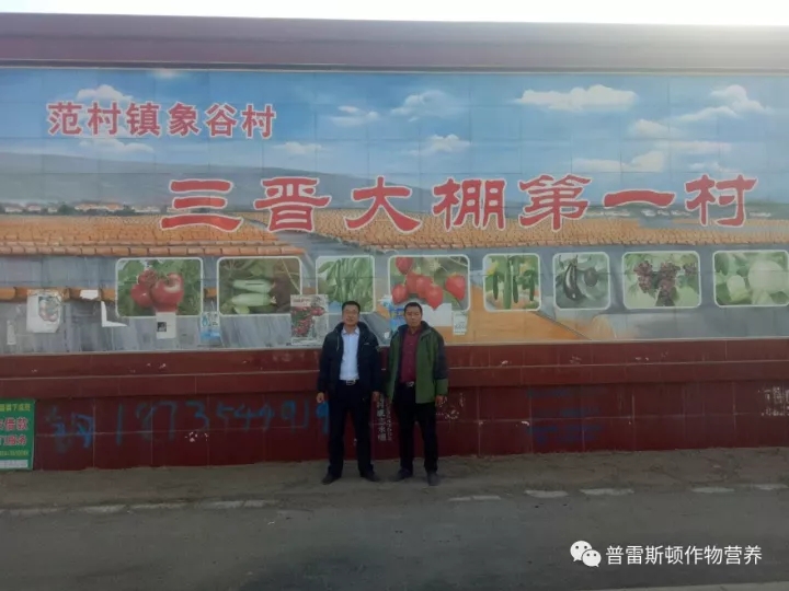 “春夏秋冬”为农业奉献，为农民丰收(图10)