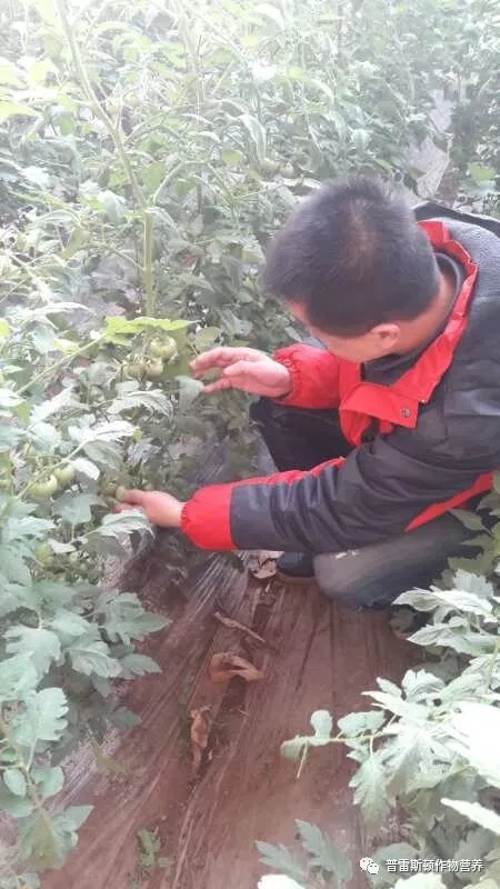 “马”不停蹄 / “马”到成功(图5)
