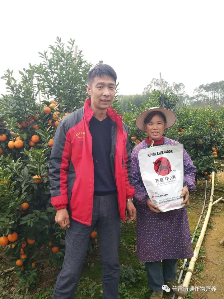 岭南好柑橘——记两广市场经理张维东(图2)