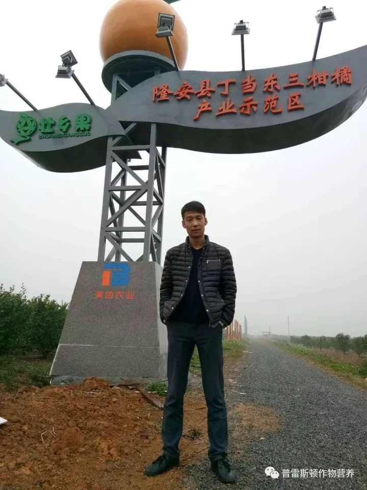 岭南好柑橘——记两广市场经理张维东(图1)