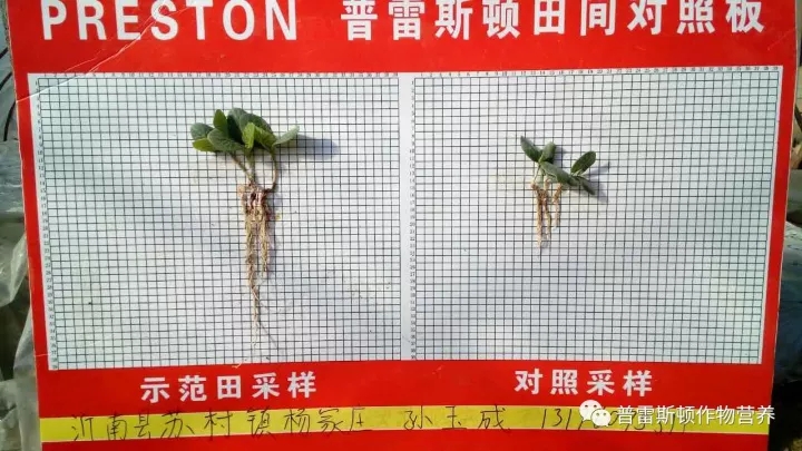 沂蒙人亲、沂河水情长(图5)