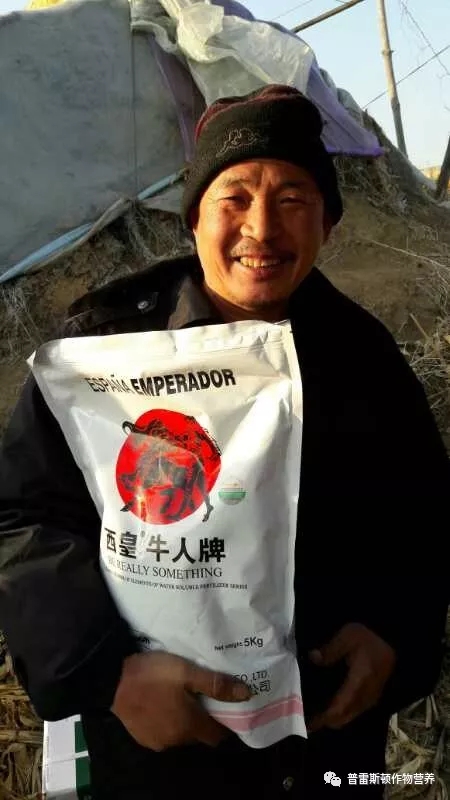 “马”不停蹄 / “马”到成功(图8)
